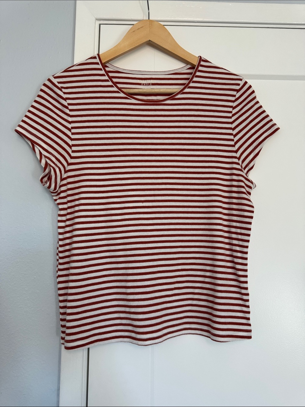 American Eagle Outfitters Rust & White Striped Crew Neck Tee